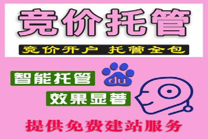 竞价广告实战：XX品牌如何通过竞价提升品牌影响力